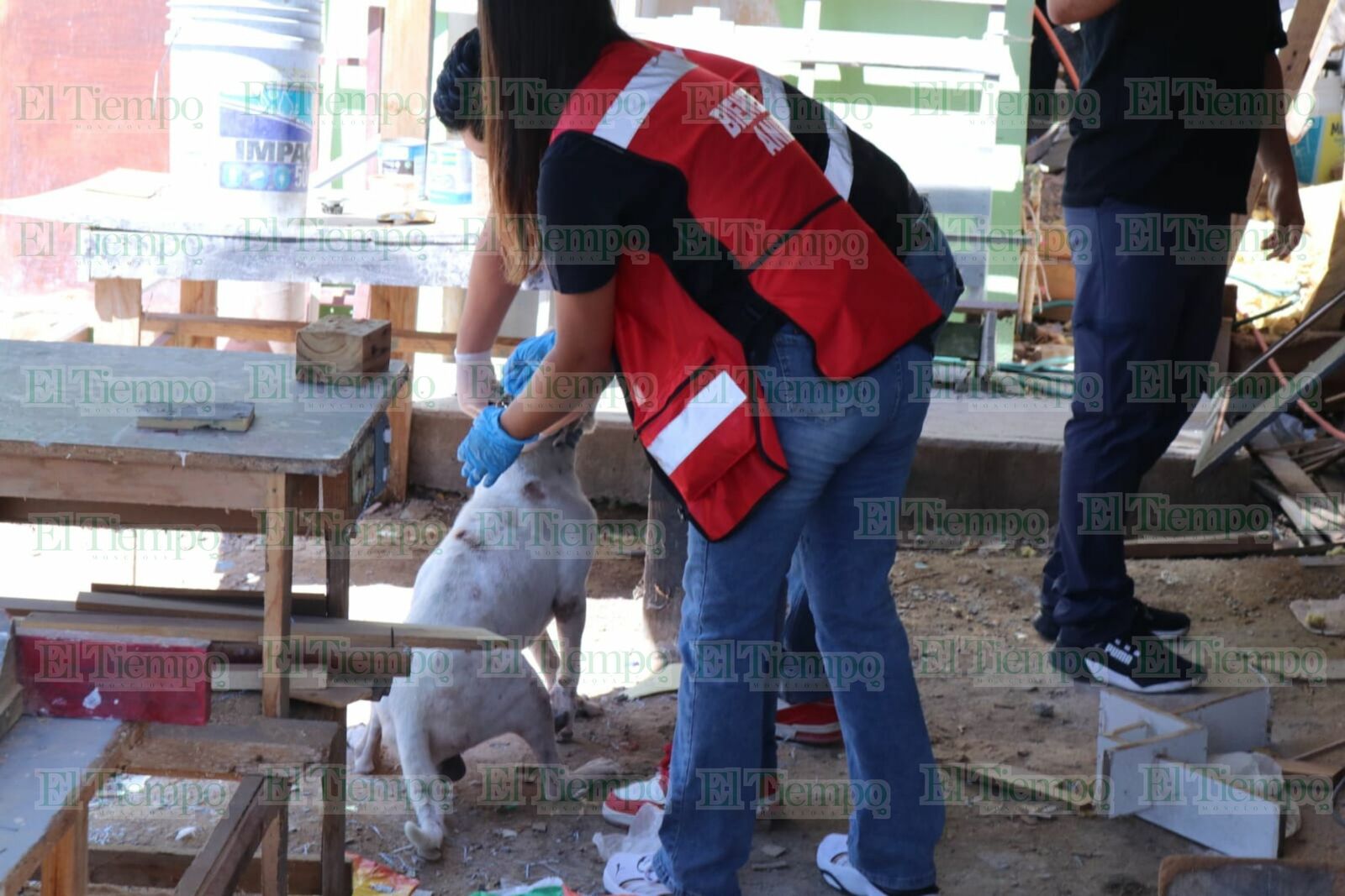 Seguridad