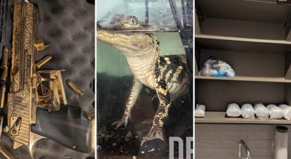 Un cateo en un departamento de lujo en Los Ángeles dejó un insólito hallazgo, además de drogas y armas aseguradas por las autoridades.  Autoridades de Estados