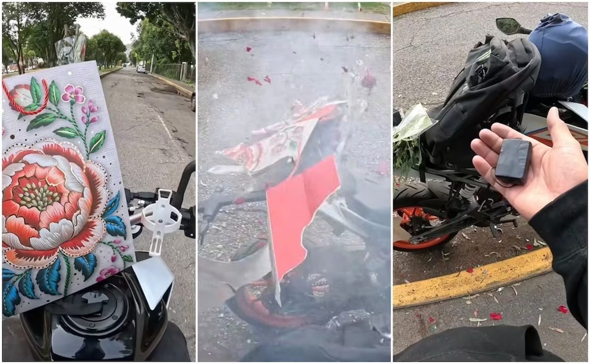 Seguridad Seguridad