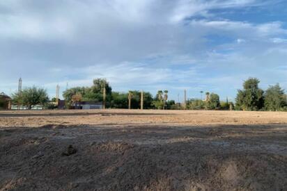 Retiran árboles en Torreón Jardín para abrir espacio a una cancha de pádel