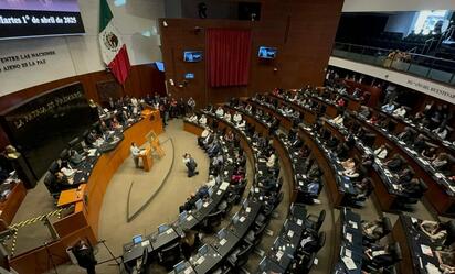 ¿Por qué eliminaron el ascenso y descenso? Senado abre debate sobre el futbol