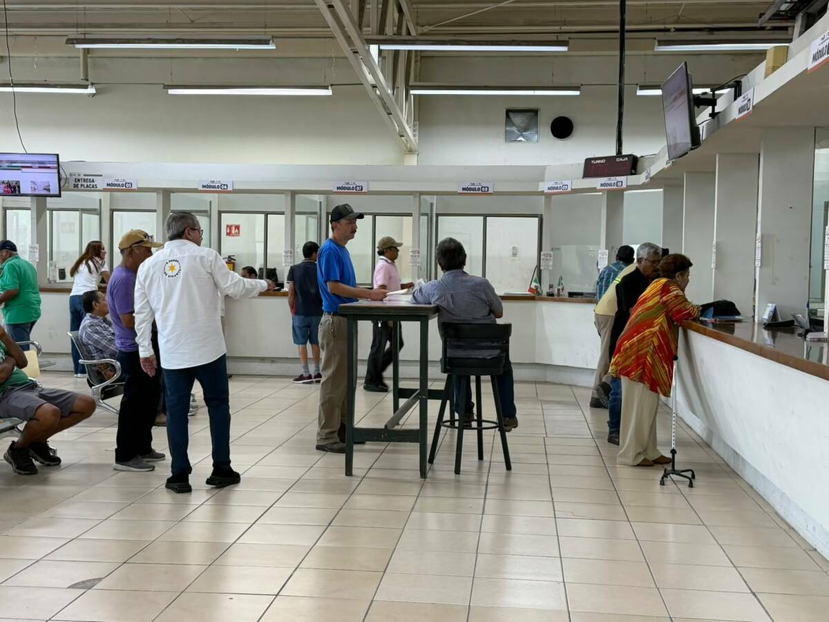Recaudación de Rentas Recaudación de Rentas