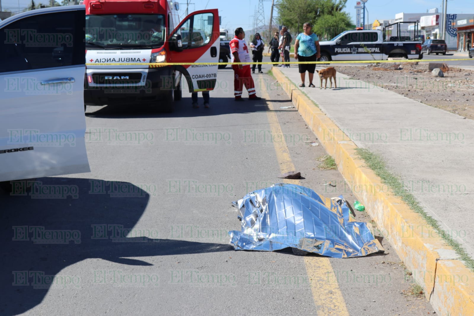 Seguridad