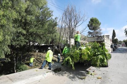 Las brigadas continuaron con la limpieza de arroyos y afluentes, para mantener despejados los cauces.  Cuadrillas municipales realizaron labores de limpieza