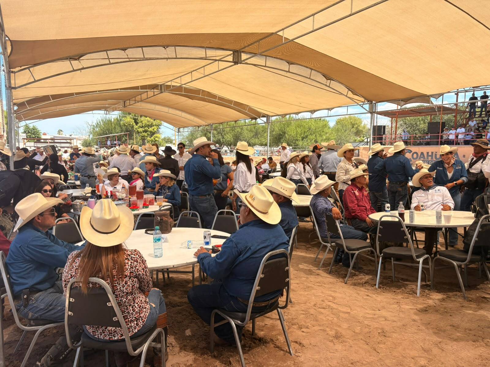 Cabalgata