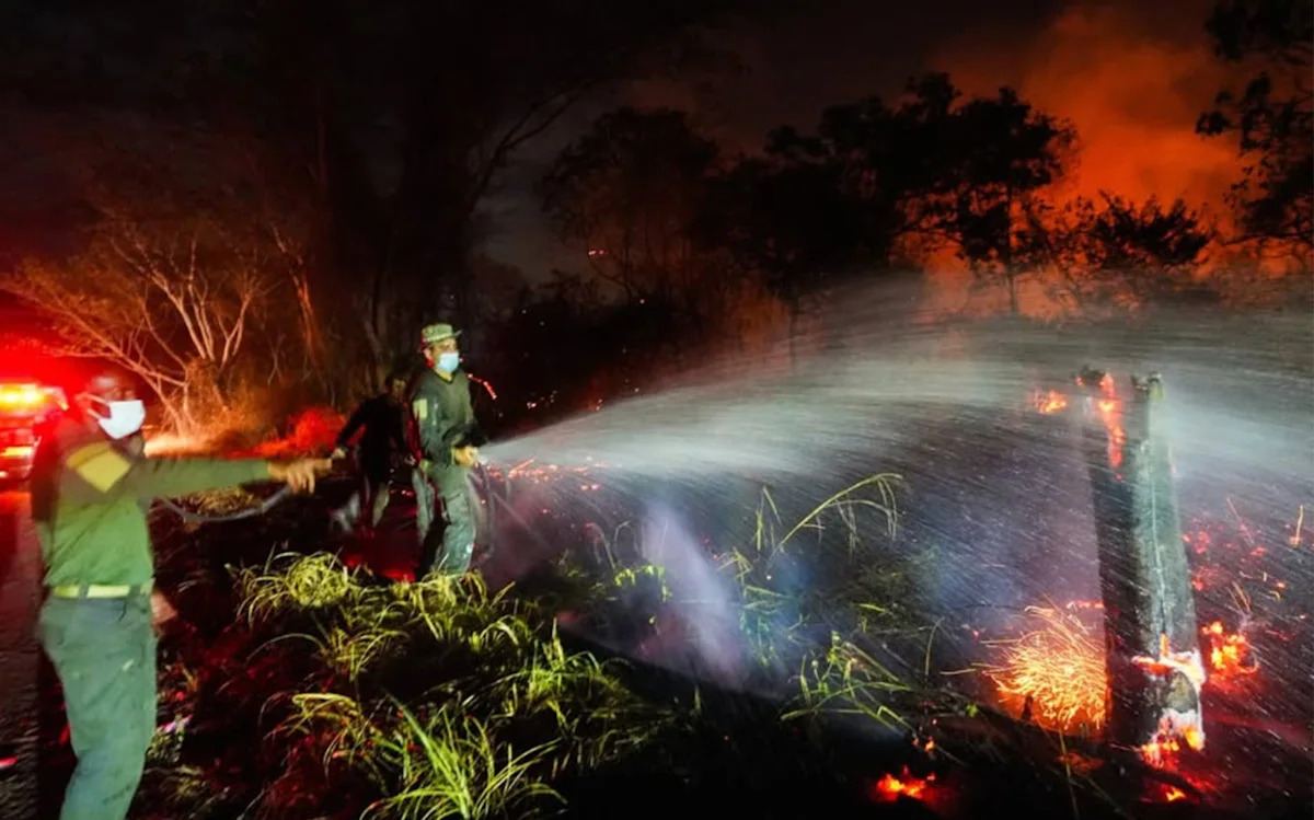 Colombia intenta controlar 19 incendios forestales
