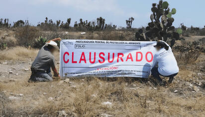 Operativo ambiental: aseguran madera y maquinaria en 43 áreas protegidas