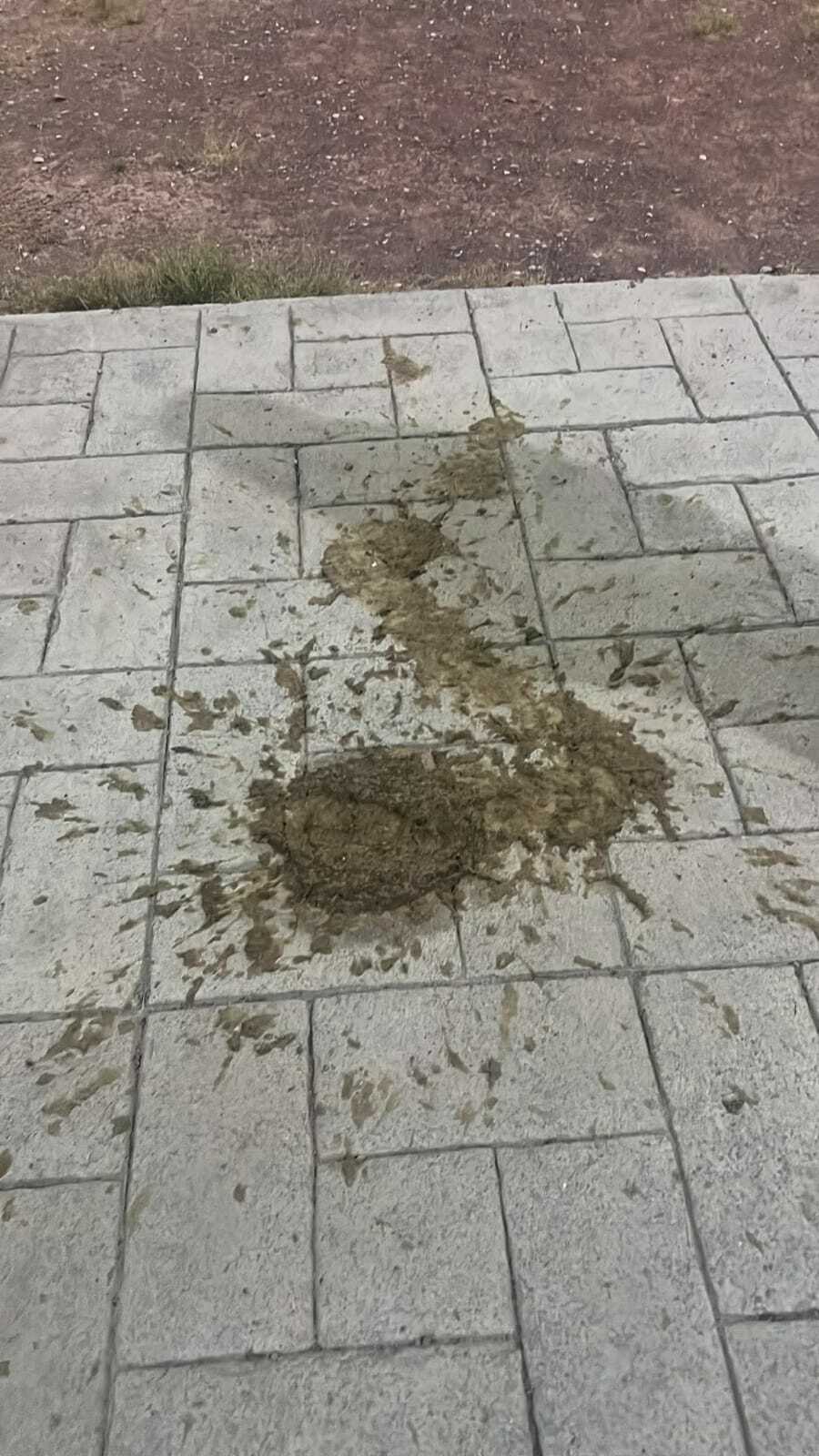 Seguridad