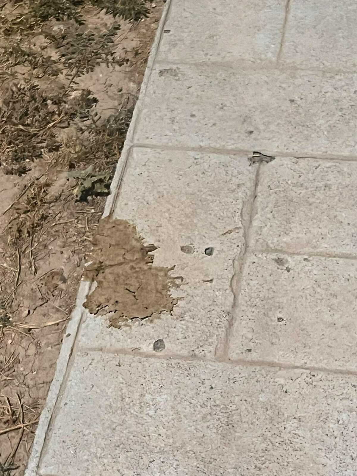 Seguridad