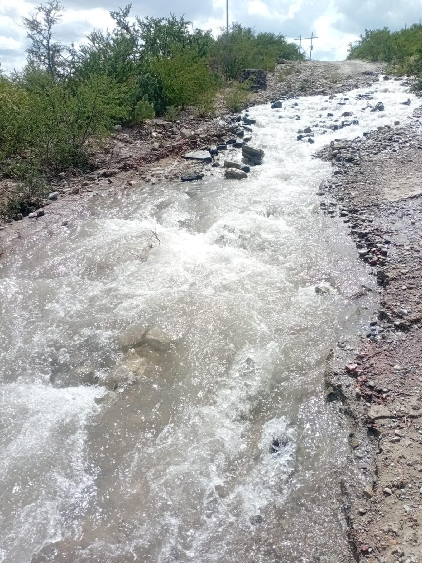 Agua