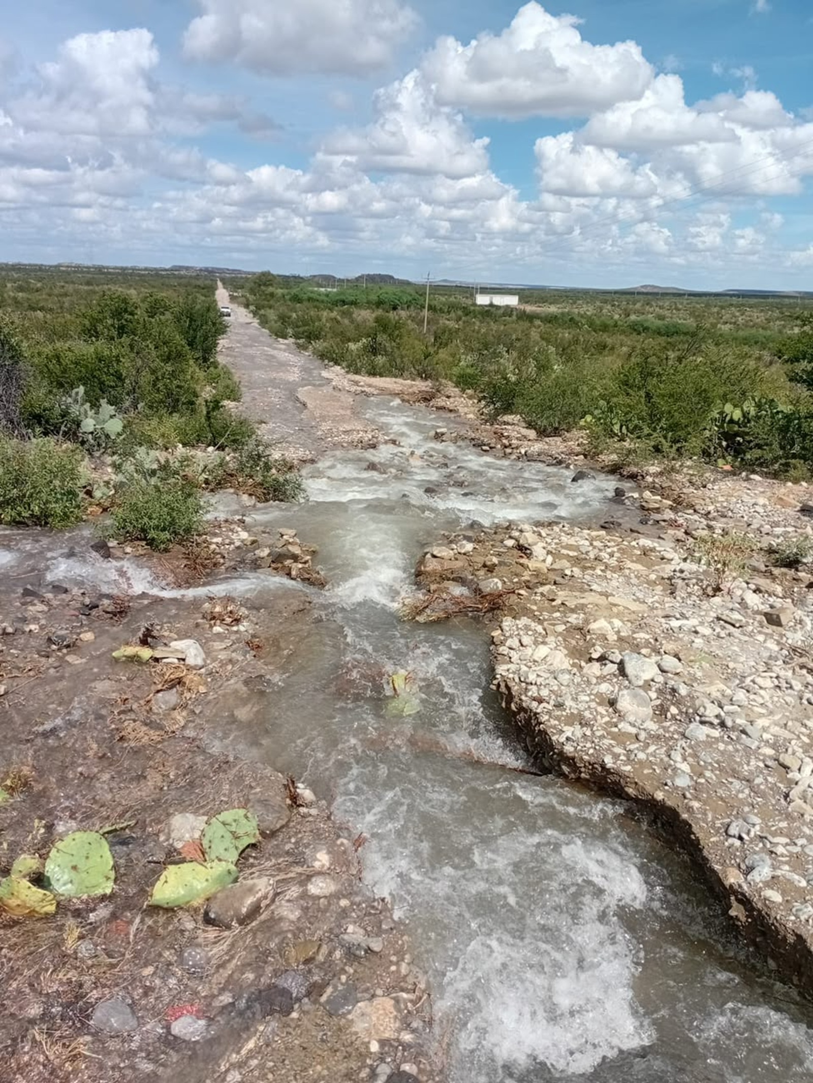 Agua