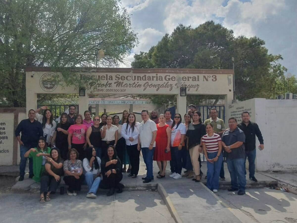 docentes