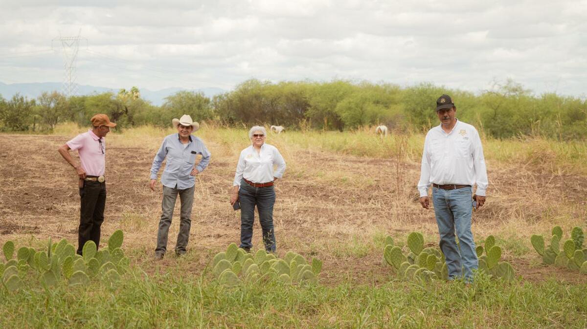 Sari Pérez fortalece el campo con parcelas alternativas para las familias rurales