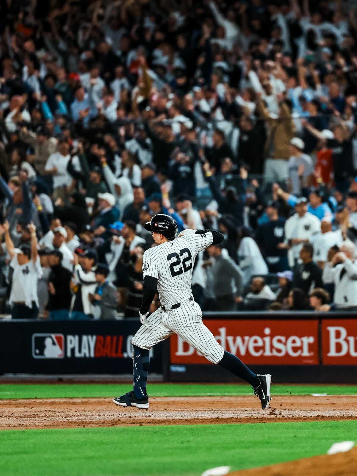 MLB MLB