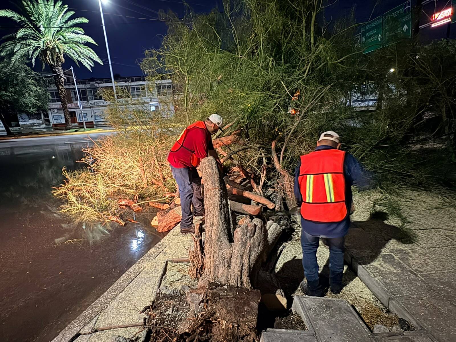 Torreón: Entre el Municipio de Torreón y el Gobierno del Estado, durante este martes se atendieron los reportes que surgieron. Torreón: Entre el Municipio de Torreón y el Gobierno del Estado, durante este martes se atendieron los reportes que surgieron.