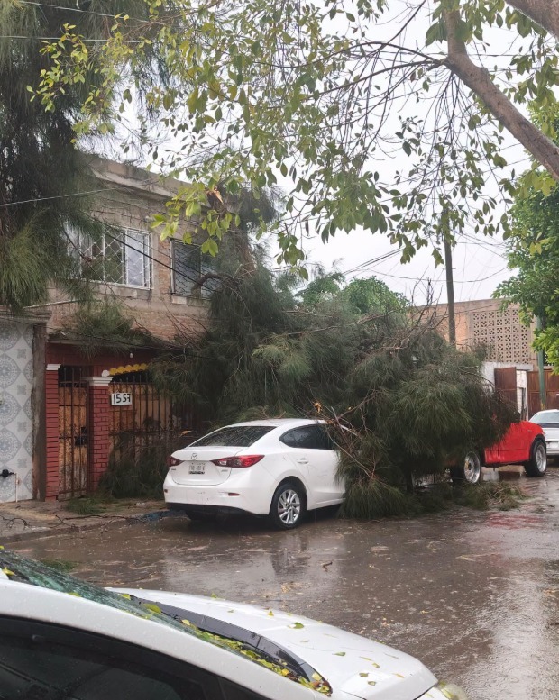 Lluvias