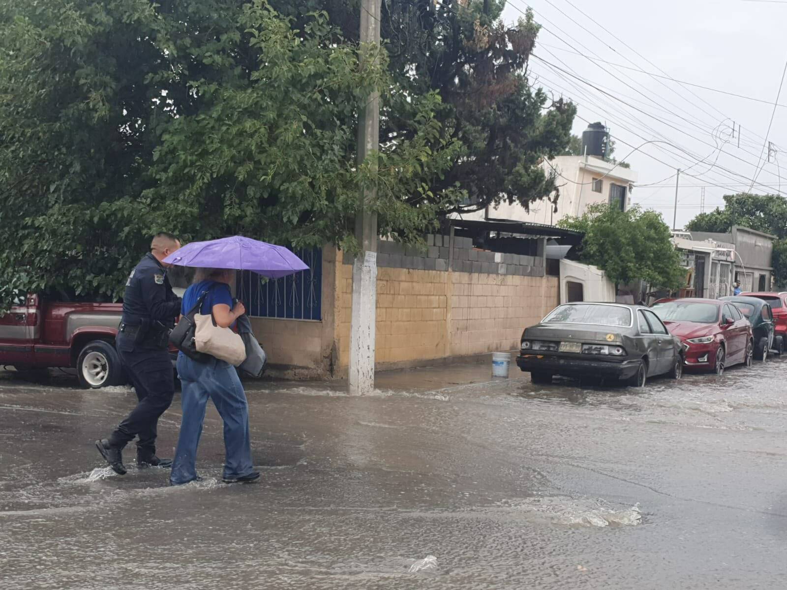 Seguridad