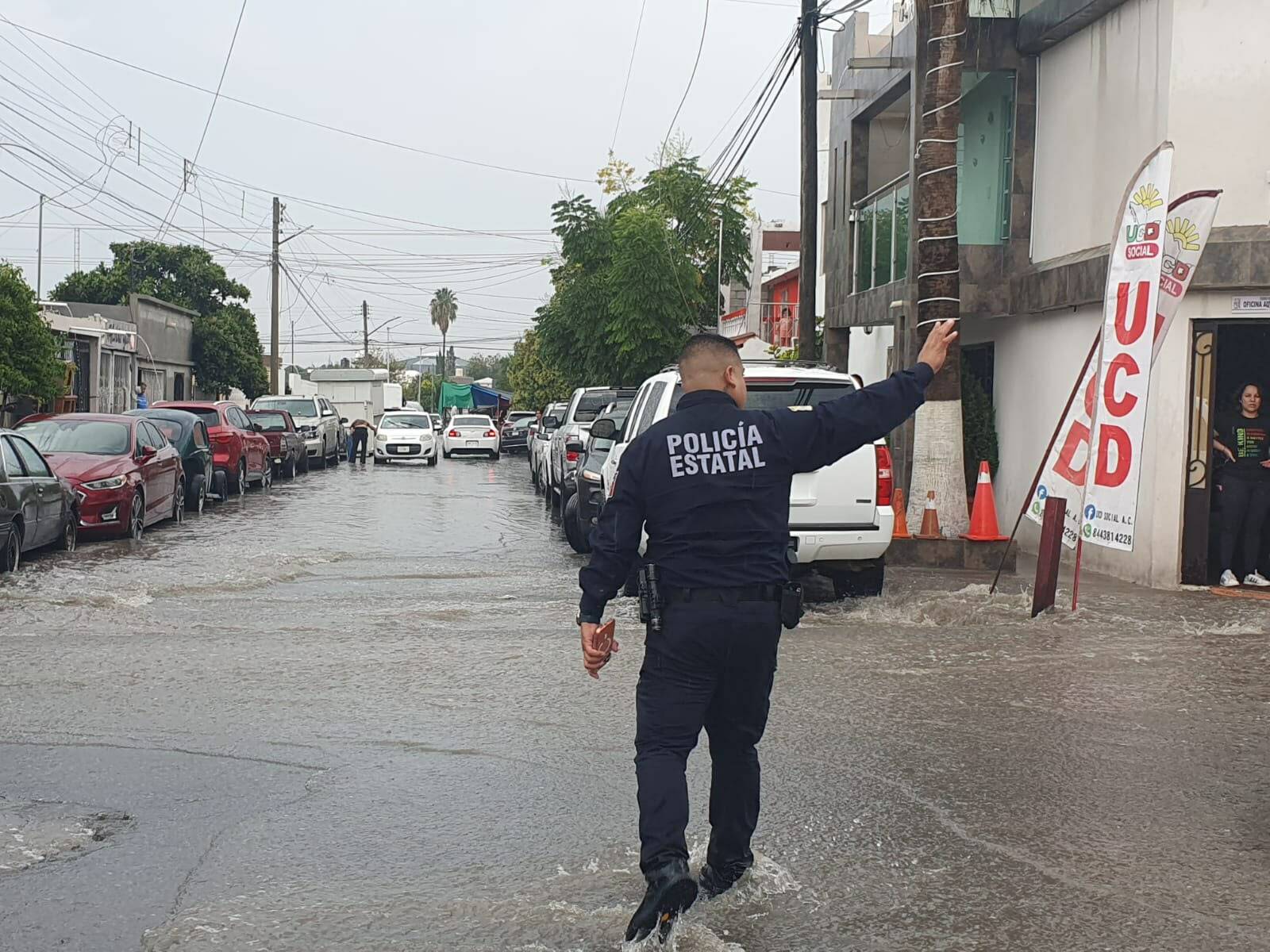 Seguridad