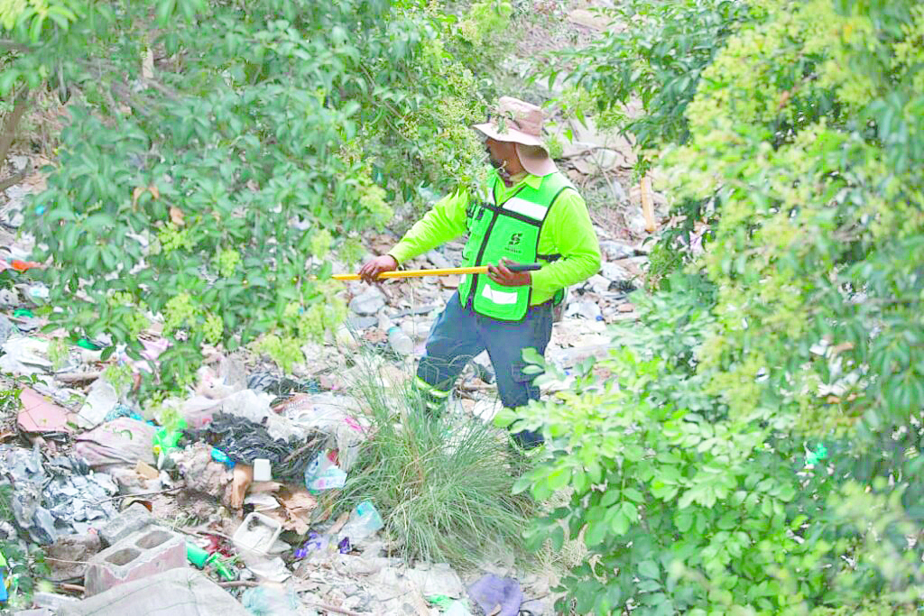 Intensifica Javier Díaz la limpieza y deshierbe del arroyo Pereyra
