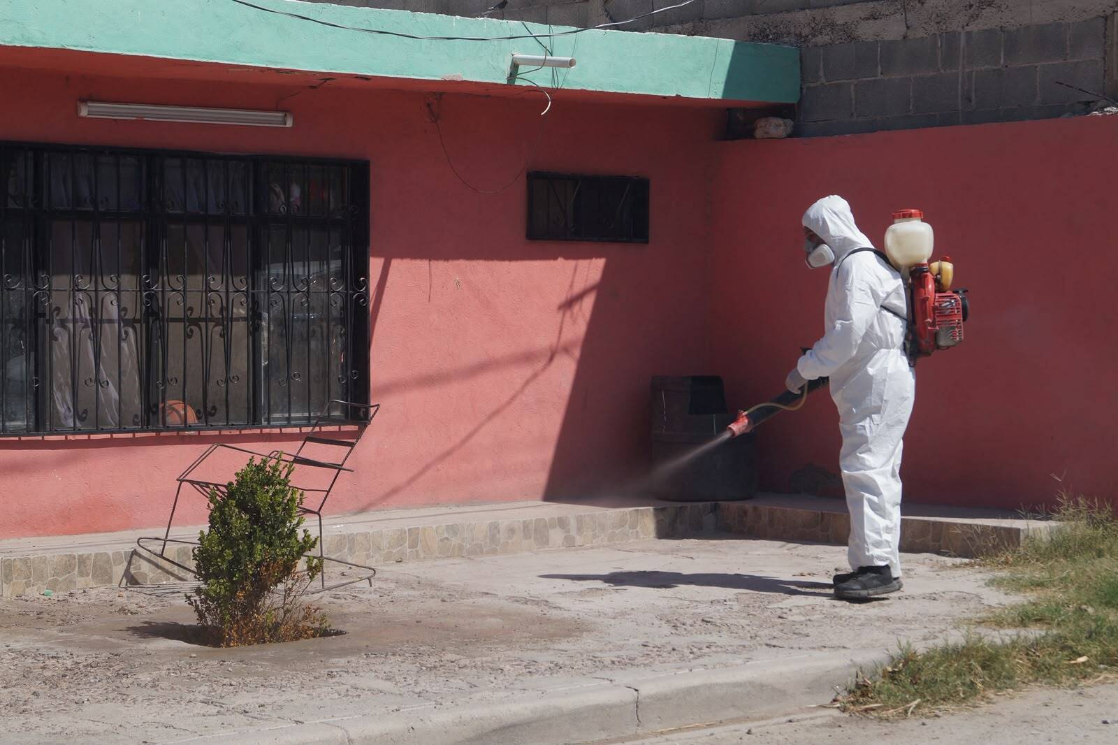 Dengue