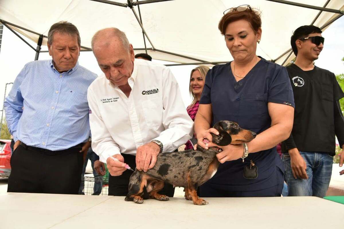 Brigada preventiva informa 58 casos de rickettsia en Coahuila