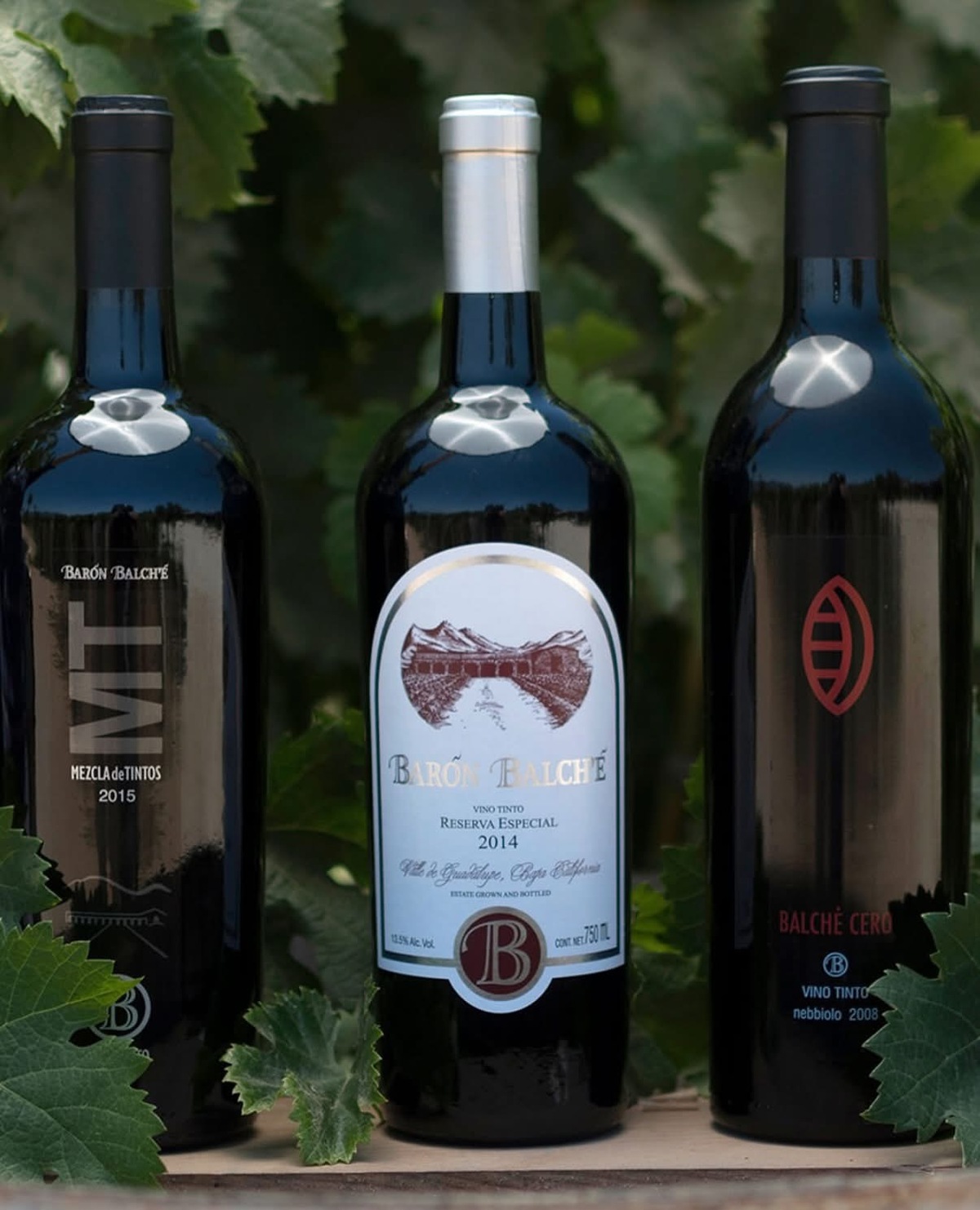 Apuesta Festival del Vino por mayor actividad económica en Piedras Negras