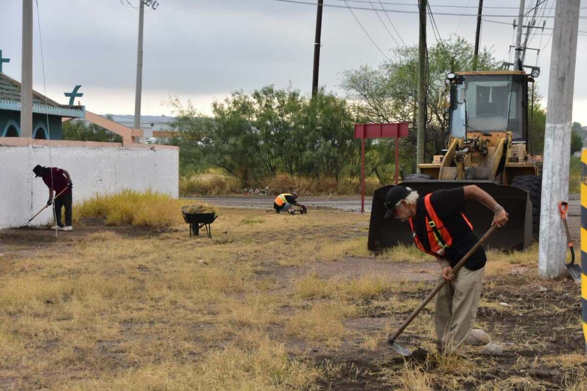 Ecología