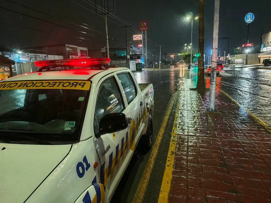 Seguridad Seguridad