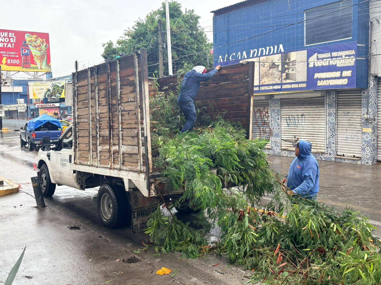 Seguridad