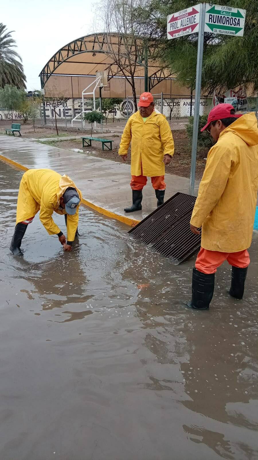 Seguridad