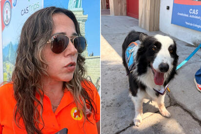 Rescate de más de 50 perros revela casos de enfermedades transmitidas por garrapatas y refuerza acciones de bienestar animal.  El rescate de más de 50 perros