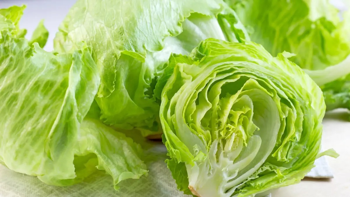 Cofepris descarta que lechugas mexicanas estén detrás de brotes de salmonela y Cyclospora en EU