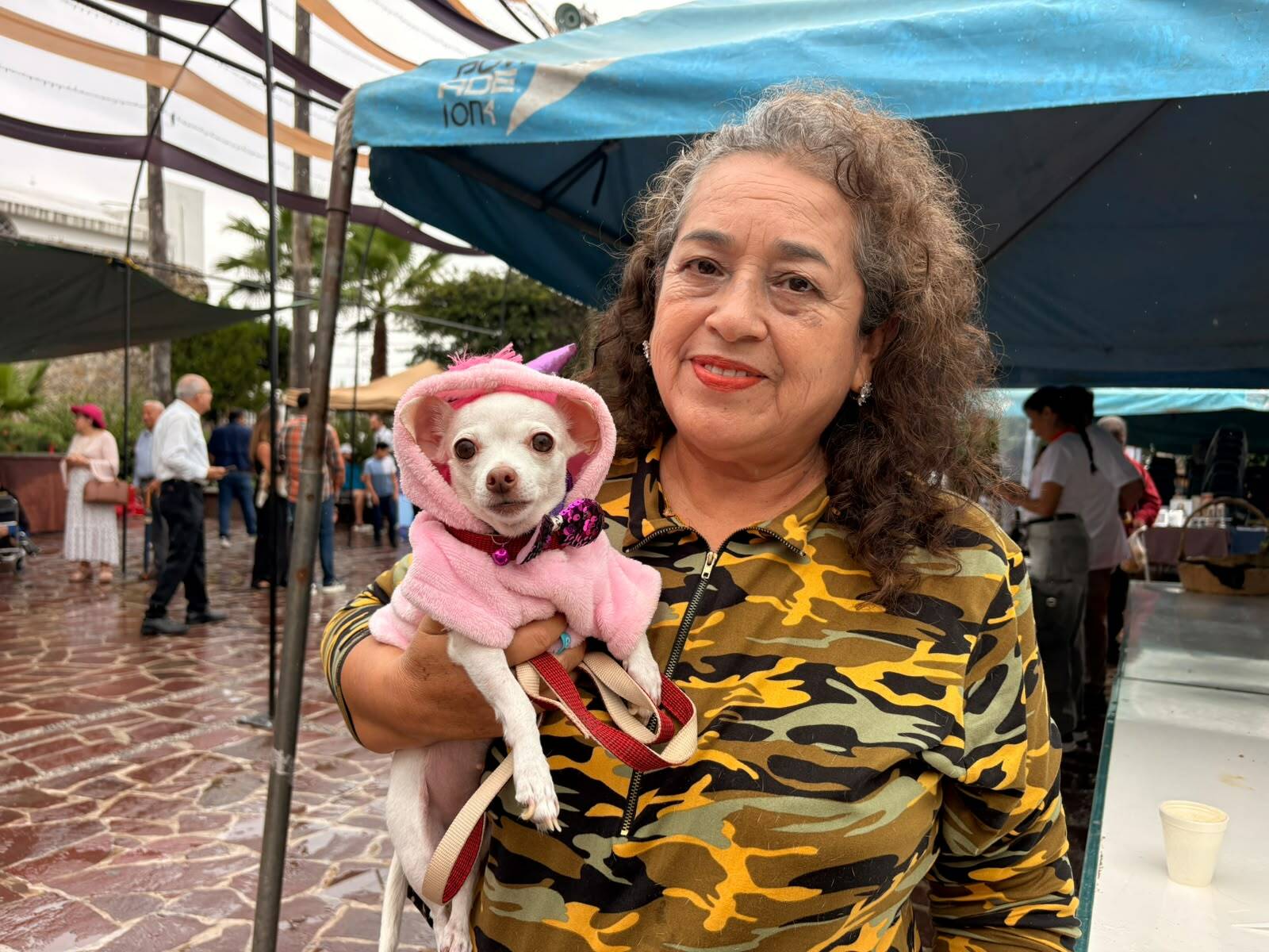 Mascotas