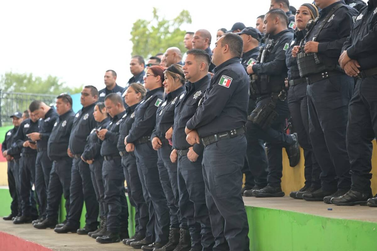Seguridad Seguridad