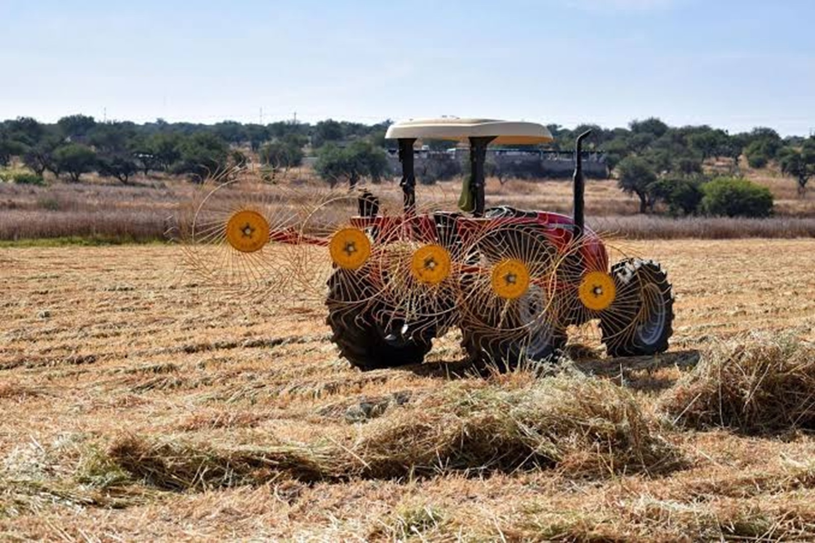 Campo Campo