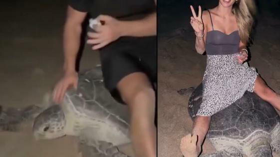 Influencer indigna en redes al sentarse sobre una tortuga marina en Omán