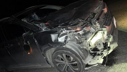 Choca camioneta contra semoviente en carretera Rancherías-Palaú