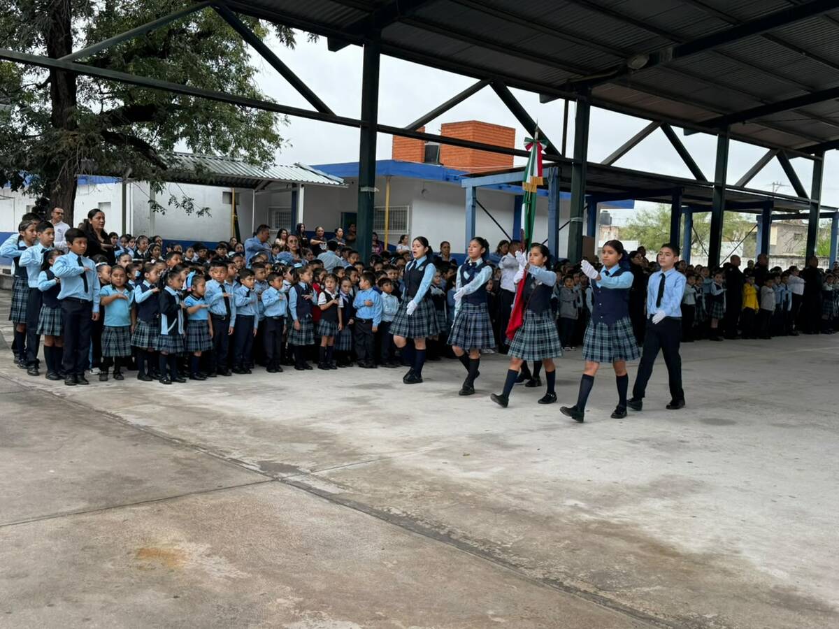 Bancas nuevas