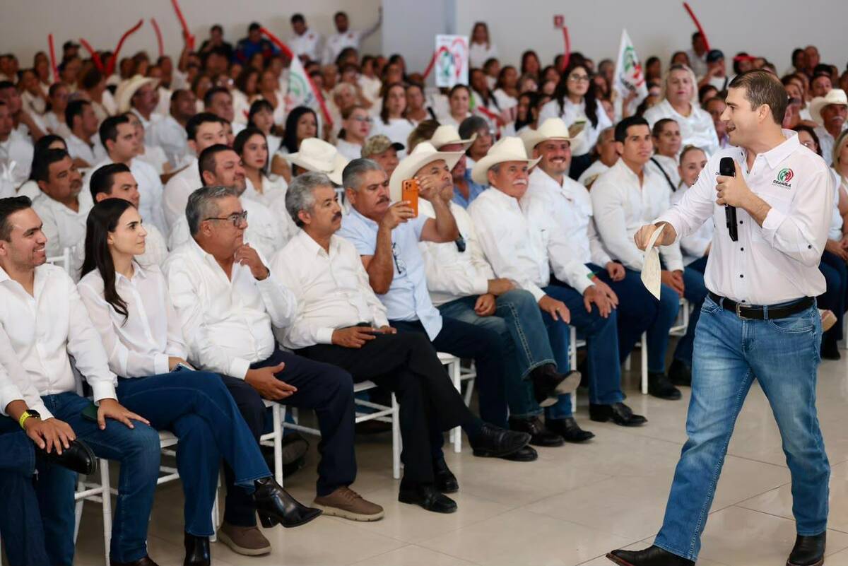 Consejos Políticos