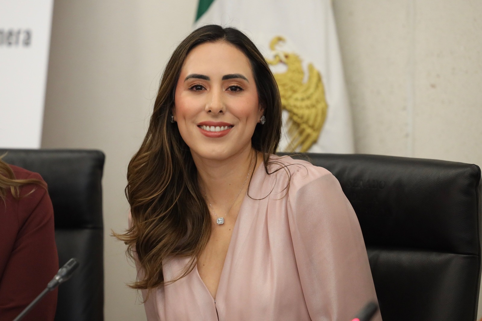 Senadora Cecilia Guadiana descarta renunciar a su ciudadanía de EU