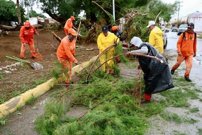 Servicios Públicos reporta atención total de árboles caídos durante contingencia en Torreón