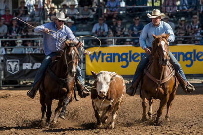 Buscan proteger al rodeo como patrimonio de Coahuila