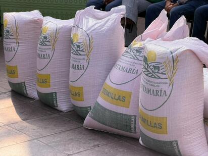 Apoyo para productores de la región con 5 toneladas de semilla para cubrir 50 hectáreas.  Con la participación de productores de Monclova y municipios