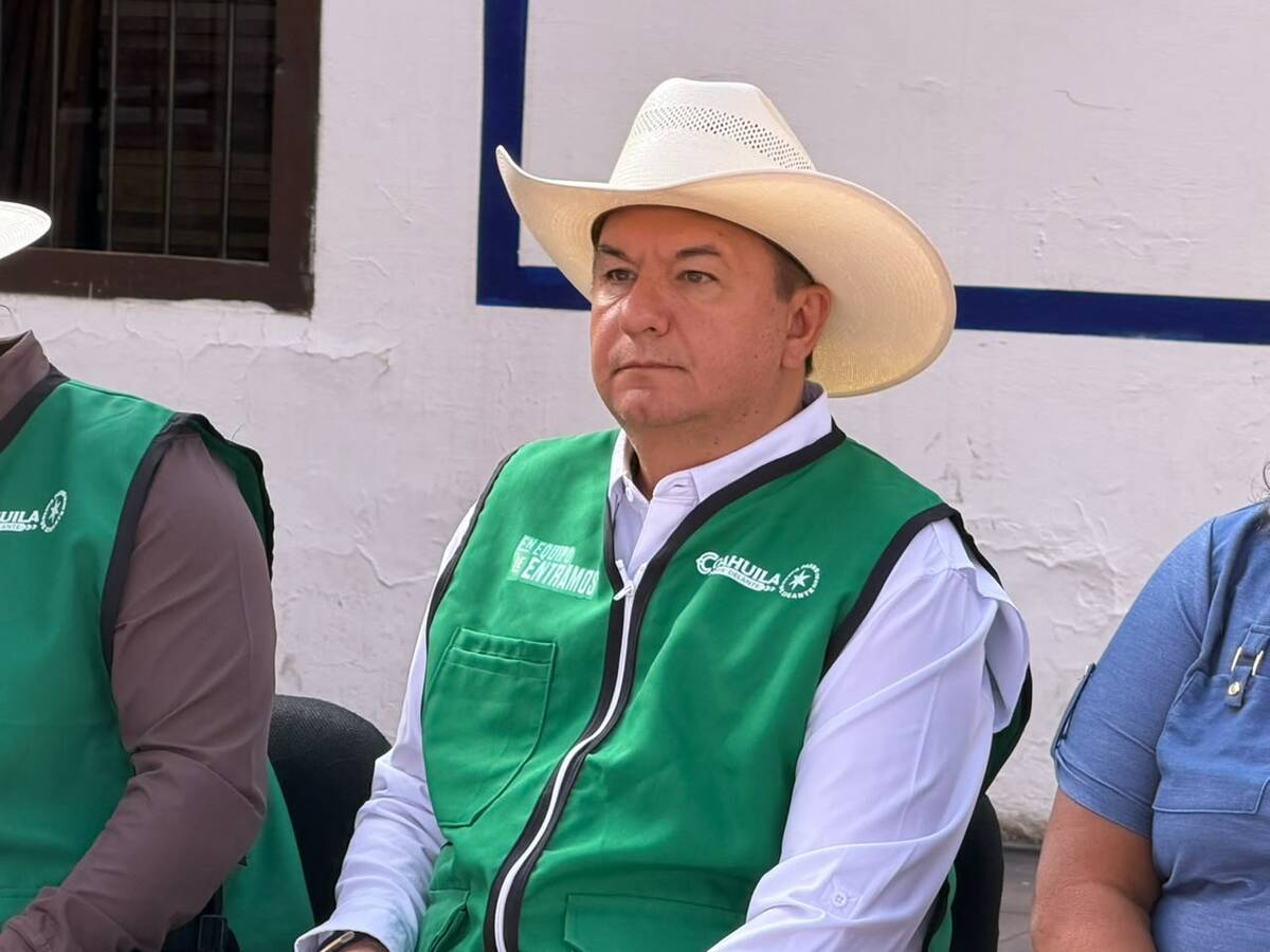 Semilla de avena