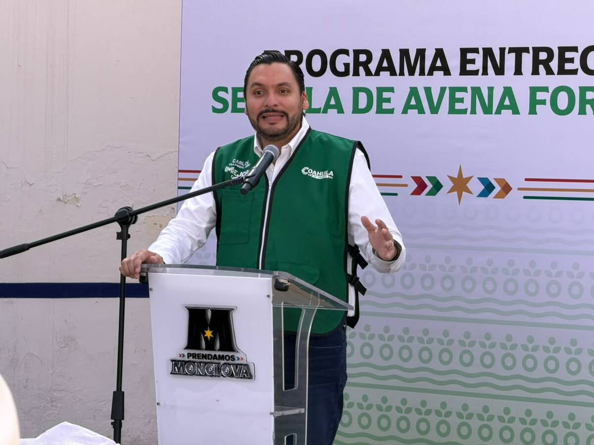 Semilla de avena