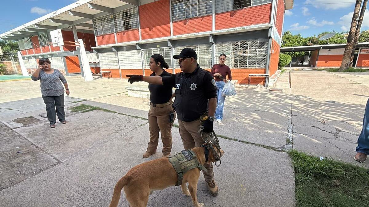 Vigilancia preventiva