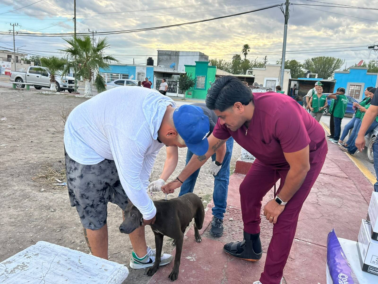 Salud