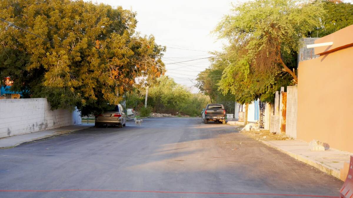 recarpeteo