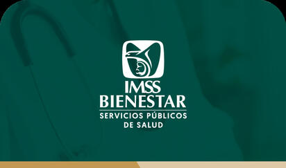 Sheinbaum visitará 24 estados para revisar cómo funciona el IMSS-Bienestar