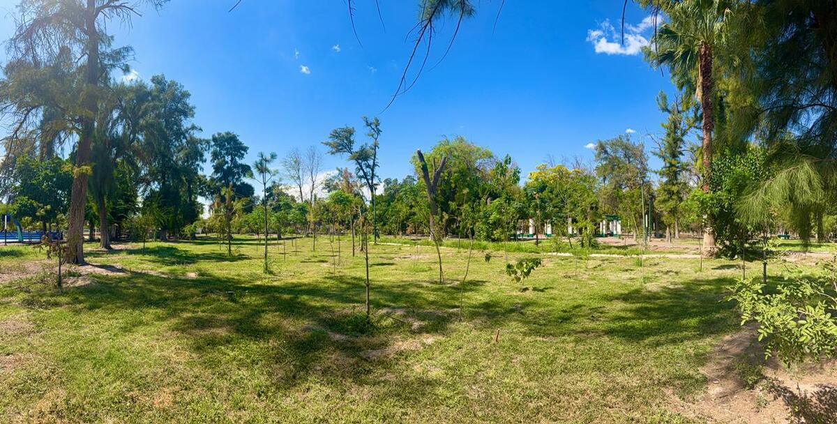 Fortalecen recuperación de áreas verdes en el Bosque Venustiano Carranza